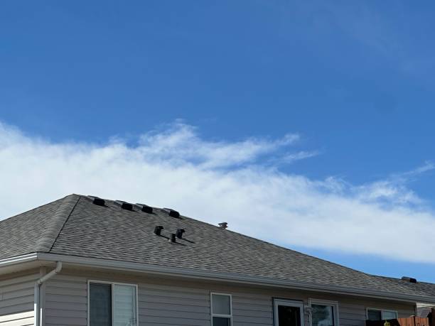 Best Roof Maintenance and Cleaning  in Twin Lakes, NM